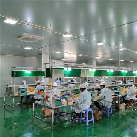 Khám chữa bệnh dễ dàng nhờ găng tay y tế thiên nhiên